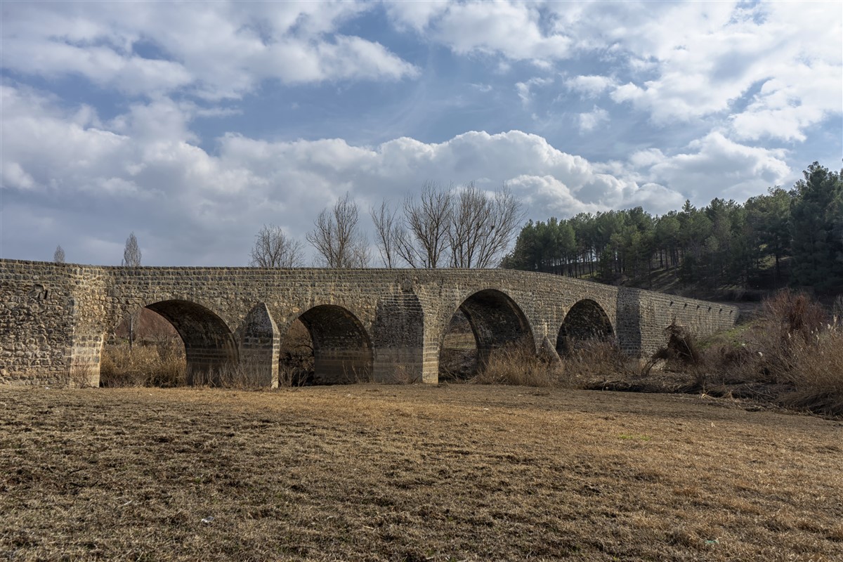 Diyarbakır Deve Geçidi Köprüsü