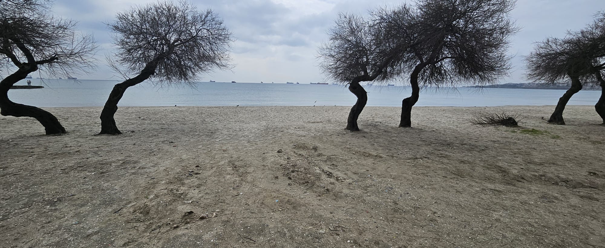 Menekşe Plajı