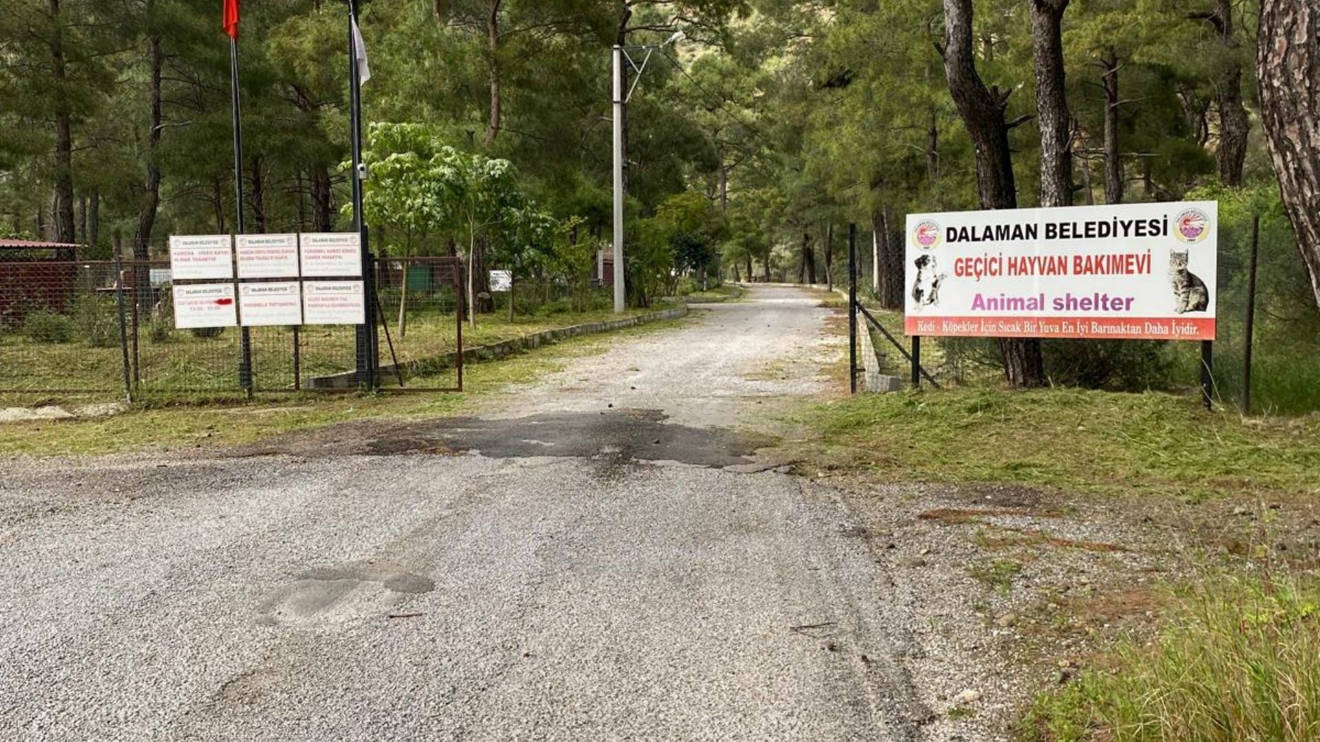 Dalaman Belediyesi Geçici Hayvan Bakım Evi