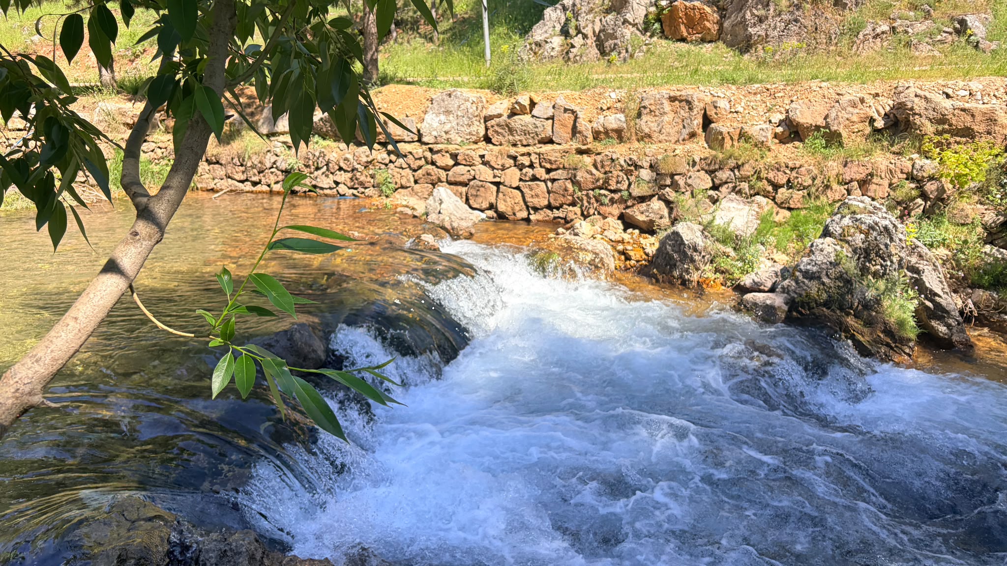 Başpınar Tabiat Parkı
