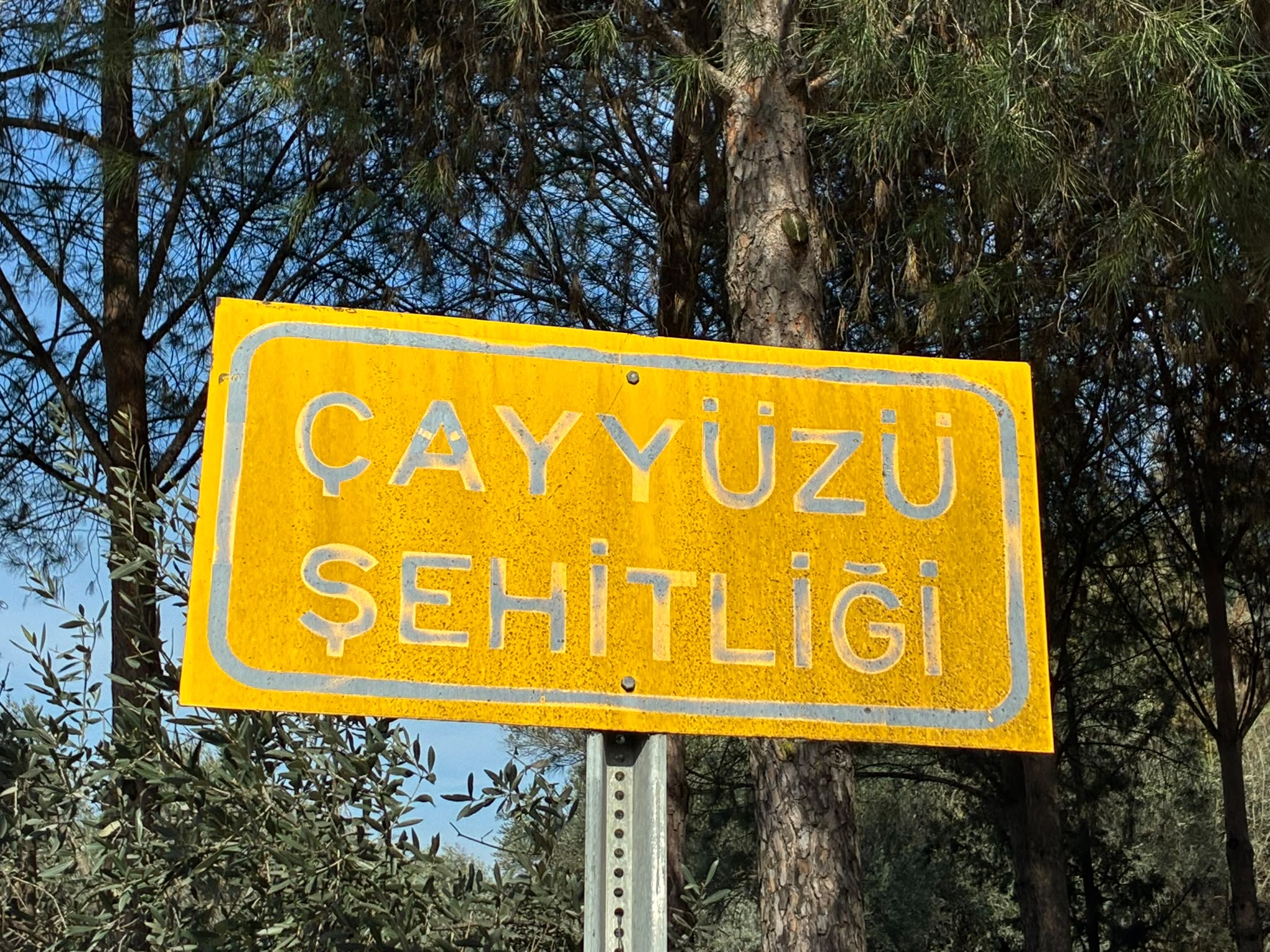 Çayyüzü Şehitliği